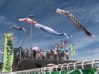 第３１回　比謝川こいのぼりフェスタ